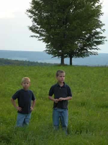 Brothers on screen